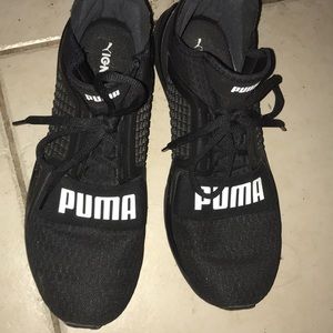 Pumas